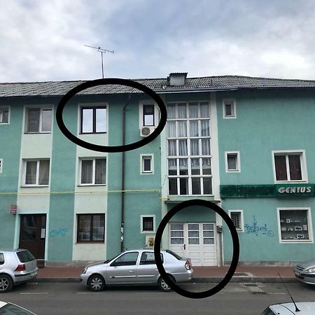 Vintage Apartment Suceava Exterior photo
