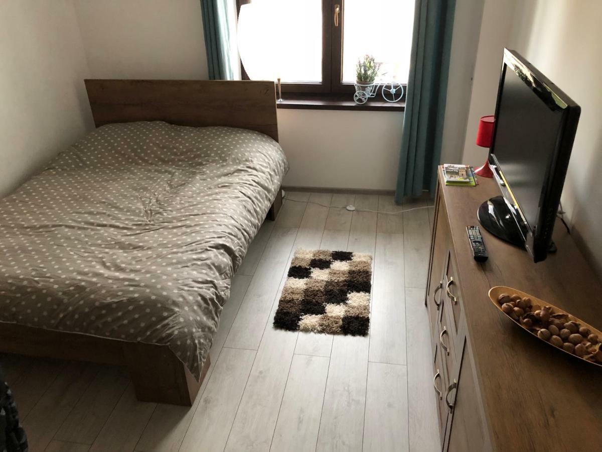 Vintage Apartment Suceava Exterior photo